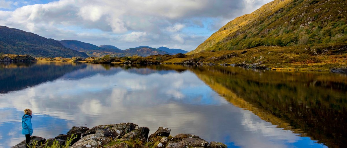 Experience Ireland tweet media
