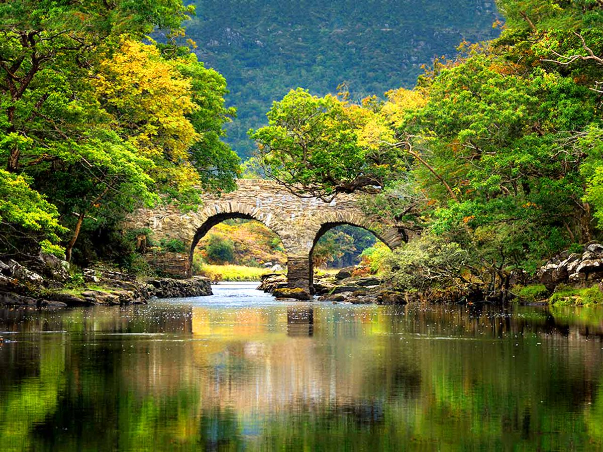 Experience Ireland tweet media