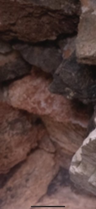 Watch Micaela's leaked NSFW photo on TwXstars