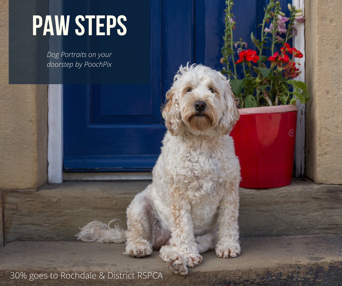 Pooch_Pix's tweet photo. Paw Steps
Dog Portrait on your Doorstep
£35 - Dog Photoshoot on your doorstep
30% goes to RSPCA Rochdale &amp; District Branch who are struggling to keep open during this time.
DM for more details #PawSteps #DogPortrait #charity https://t.co/qKx7LaENUO