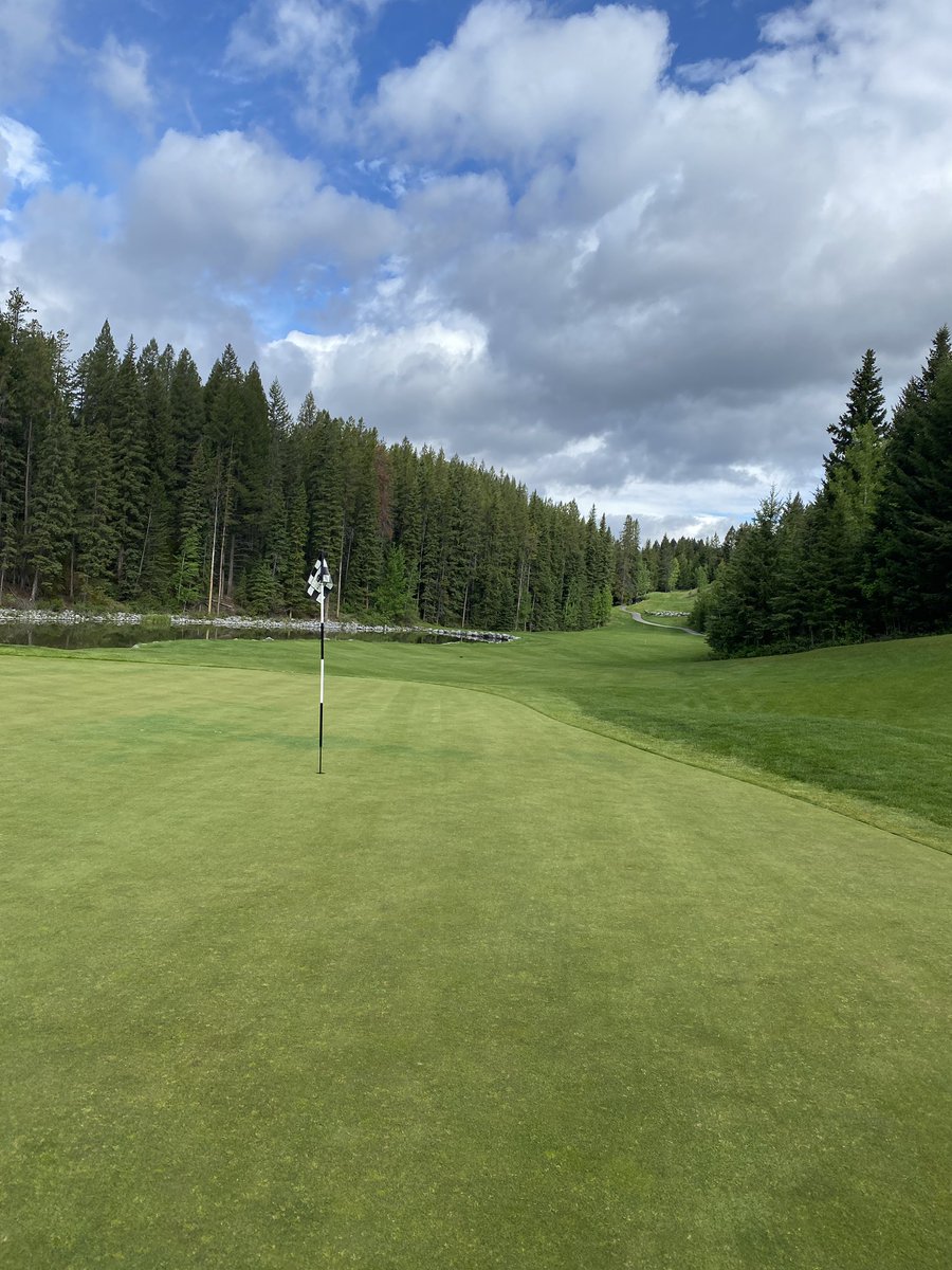 Matt Kirlin tweet media