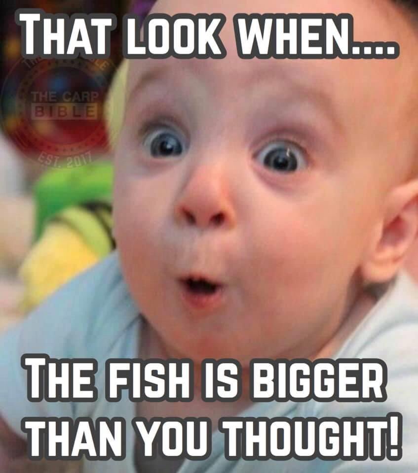 ShackCarp's tweet image. We’ve all done it 😂 #carpfishing #carp #fishing