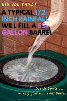 FunTimesGuide's tweet image. A list of things you should (and shouldn't) do when making a rain barrel. #rainbarrel #rainwatercollection #waterfacts #rainbarreldiy ift.tt/2UKB2YF
