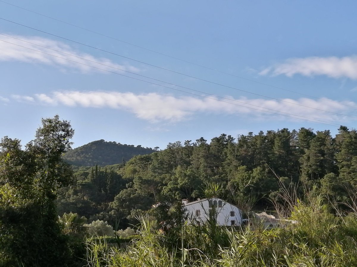 MeteoAdM's tweet photo. #Bonvespre des de la part alta #ArenysdeMunt #Tarda plàcida i molt agradable amb la presència d'alguns cirrus una mica ondulats #cirrusondulatus després del ☁️ d'aquest #migdia #Batec #CanColomer #14juny2020 #primavera2020 https://t.co/mY8FRJyUxZ