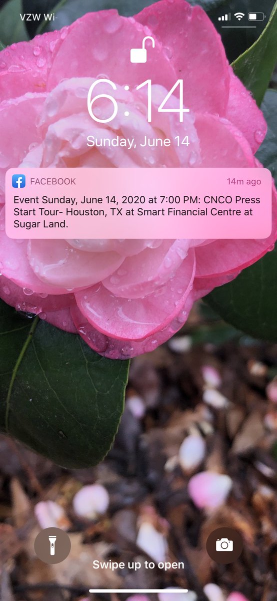 Should be at a <a href="/CNCOmusic/">CNCO</a> concert right now but guess not. Thanks Facebook for the reminders