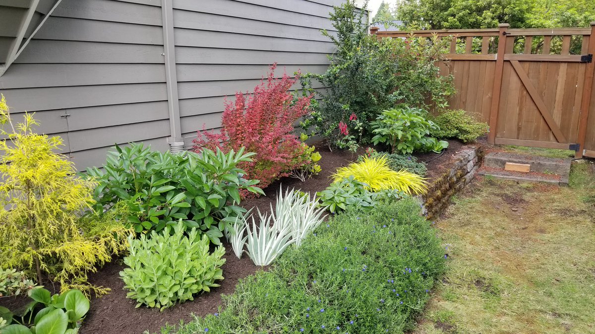 Fraser Suyetsugu tweet media