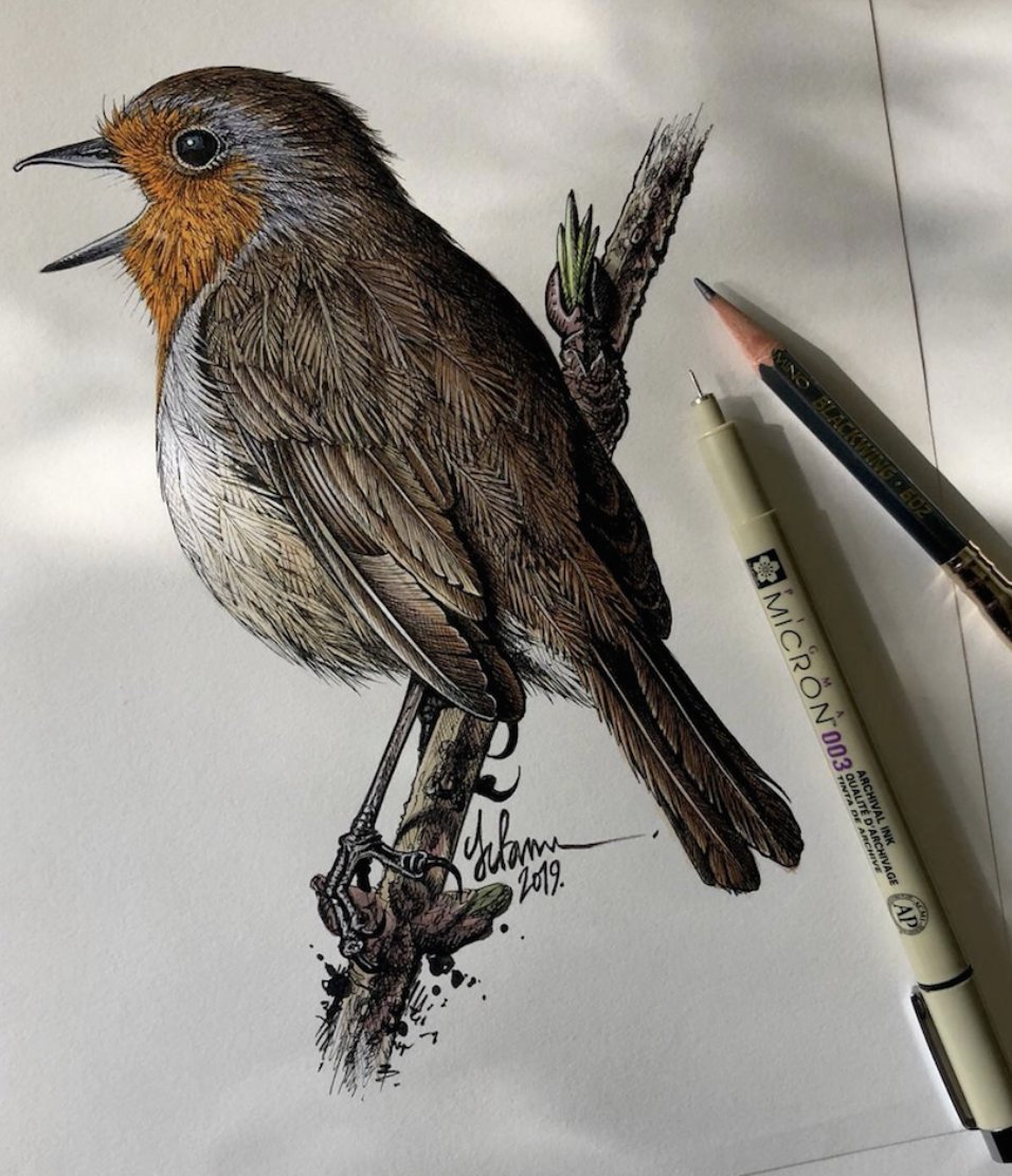 bernoid's tweet photo. I like birds https://t.co/C1nKftIvzy
