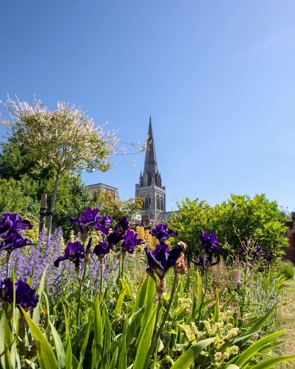 Sorry it’s been so long. #ThePhotoHour #Chichester #LoveWhereYouLive