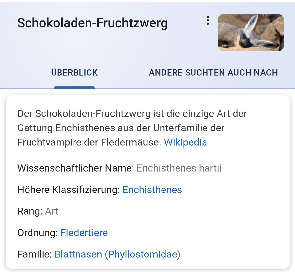 Es gibt eine Vampirfledermausart, die Schokoladen-Fruchtzwerg heißt.

Das war's auch schon. Schönen Abend noch. 👋