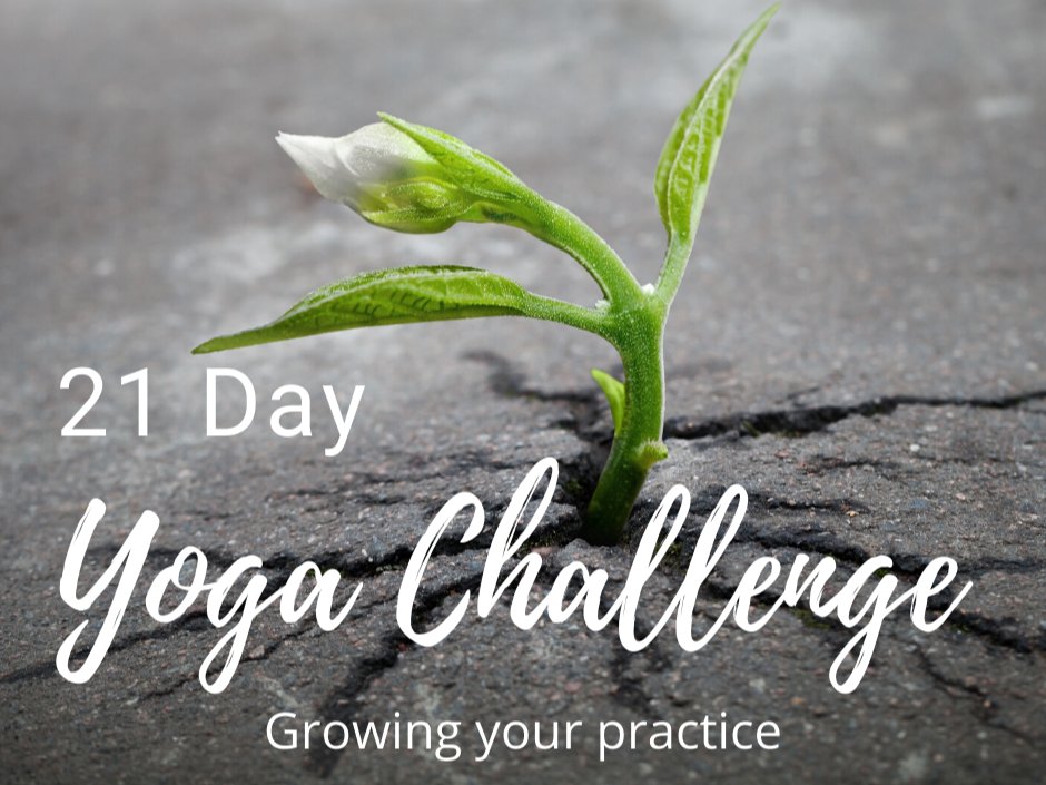 Grow your yoga practice! If you missed the start of the 21-day challenge but would like to commit to your own 21 days of yoga to grow your practice.Sign up any time and receive daily videos for 21 days carrietaylor.ca/events