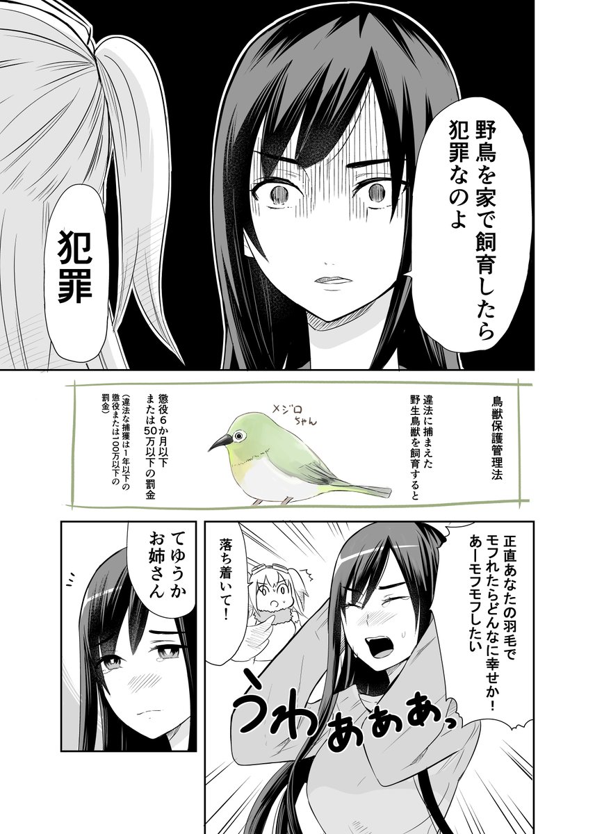 (創作)疲れて野鳥観察で癒されるOLの所に可愛い鳥さんが来る 