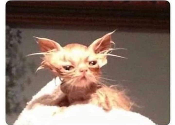 elespacioviral's tweet photo. "Voy a dormir una siesta de 15 minutos y después termino todo lo que me faltó hacer"

6 horas después: https://t.co/5mP3bZmWJJ
