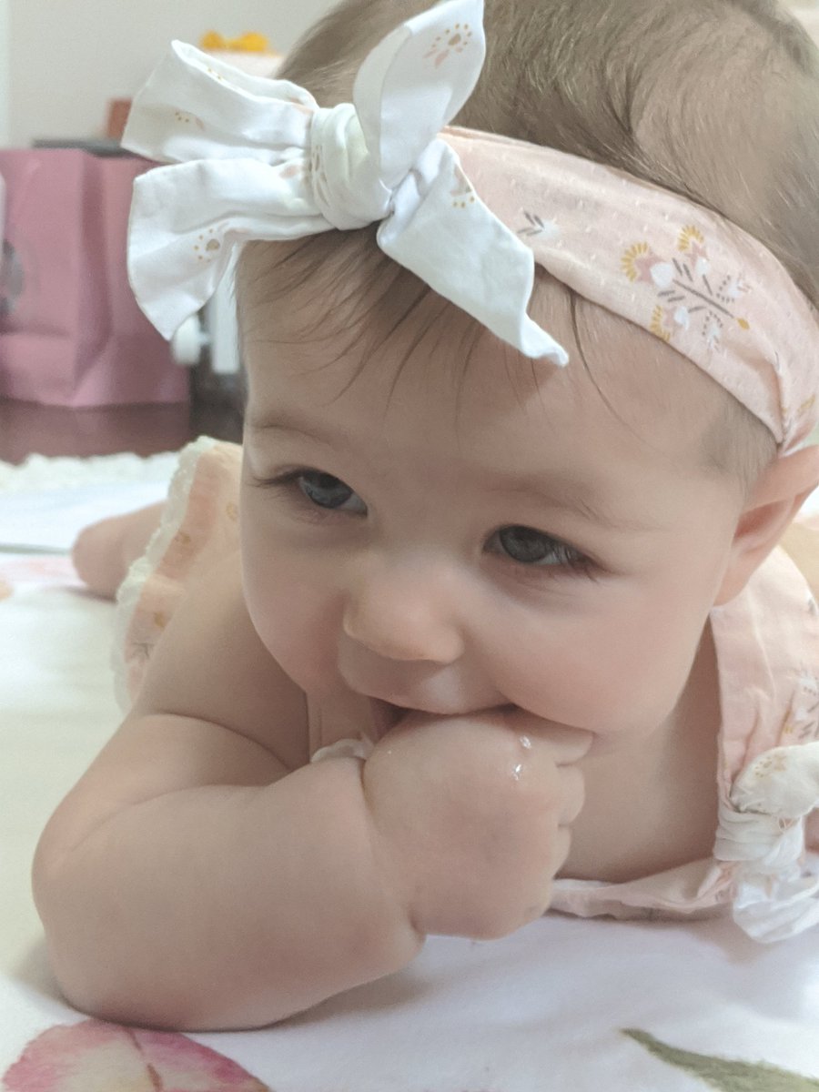 natnatDeve's tweet photo. Happy half birthday to the greatest little love of my life, Scarlett Claire. Can't believe you are 6 months already!! Excited to watch you grow, and the many milestones and adventures to come. #6months#wheredidthetimego https://t.co/rk8juQEjdj