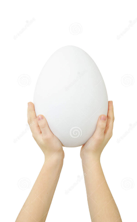 Slimecicle's tweet photo. this is BIG EGG! MAKE THIS THE EGG THE MOST LIKED EGG ON TWITTER! https://t.co/a9Fi1z1AhY