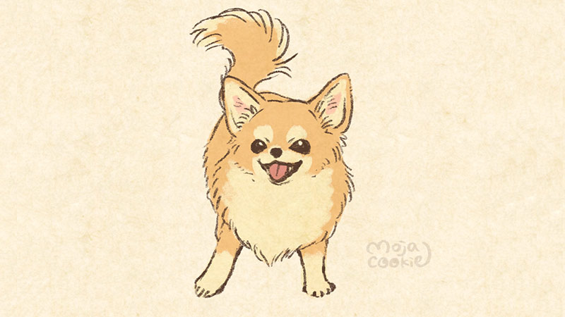 もじゃクッキー A Twitter 32日目 毎日犬絵 チワワ