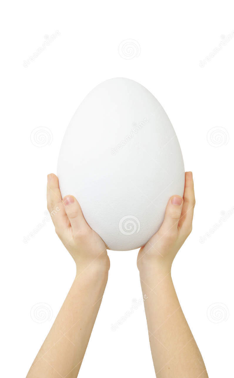 this is BIG EGG! MAKE THIS EGG THE MOST LIKED EGG ON TWITTER!