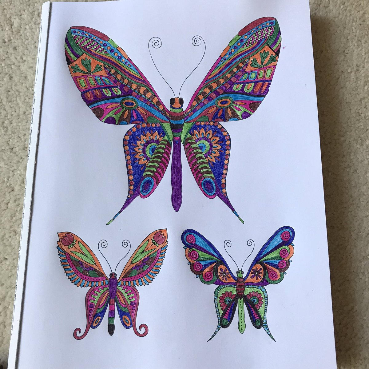 CottageCalm's tweet image. #Biro #Butterflies #Staedtler #mindfulness #colour #calm #adultcolouringbooks ❤️ 🦋