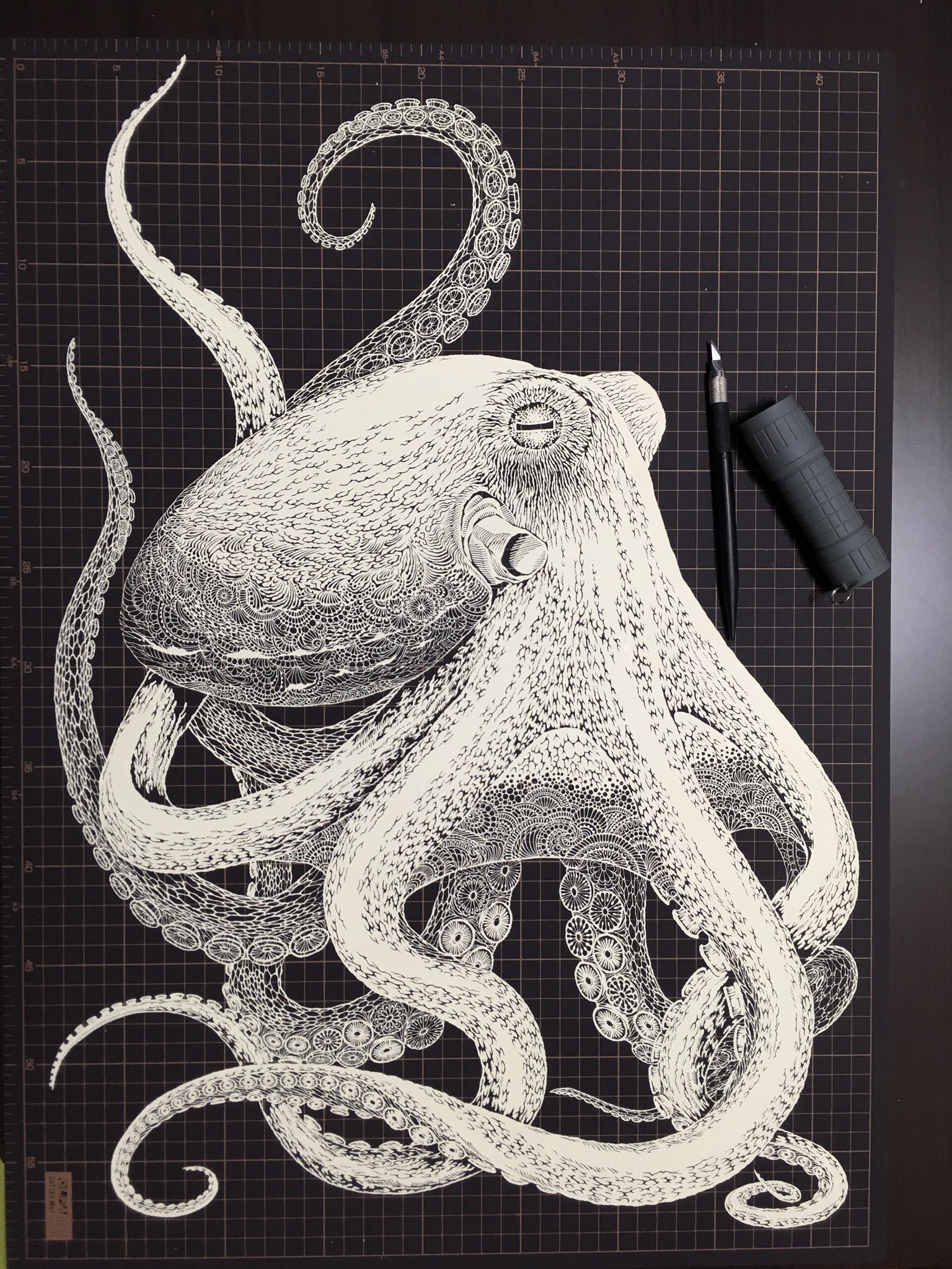 切り剣 福田理代 初作品集発売中 海蛸子というタイトル 当初この題名をつけた時 何度も読み方と漢字をネットで確認したのですが 今探してもこれを かいしょうし と読むサイトが無くてですね ウミダコと表記されているのです そちらが正しい様なの