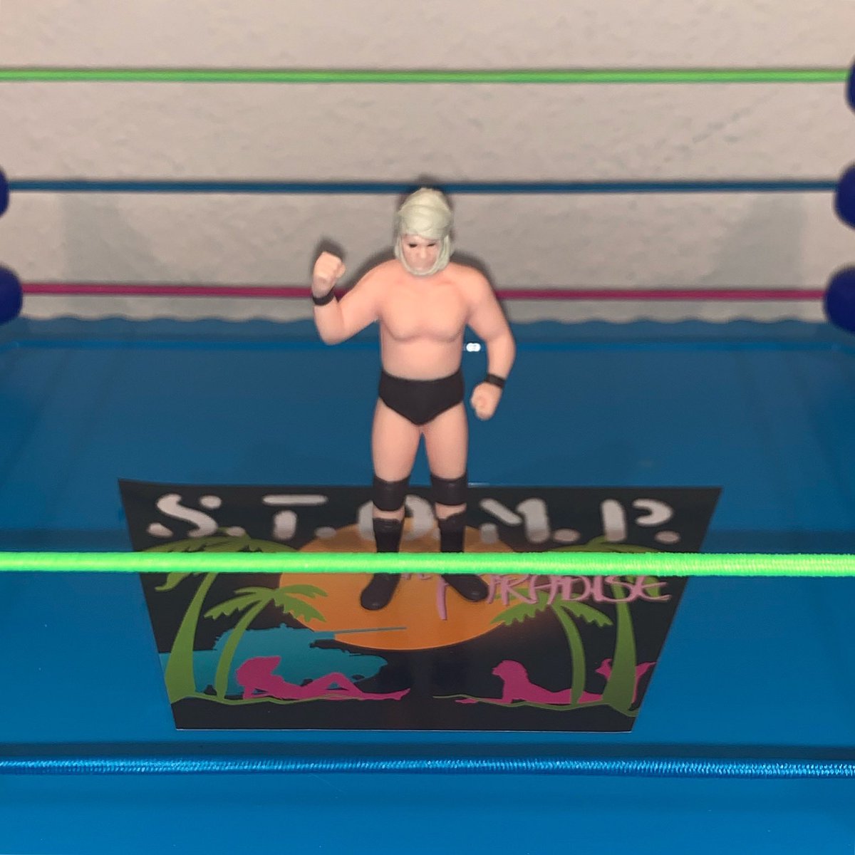 wrestling figs