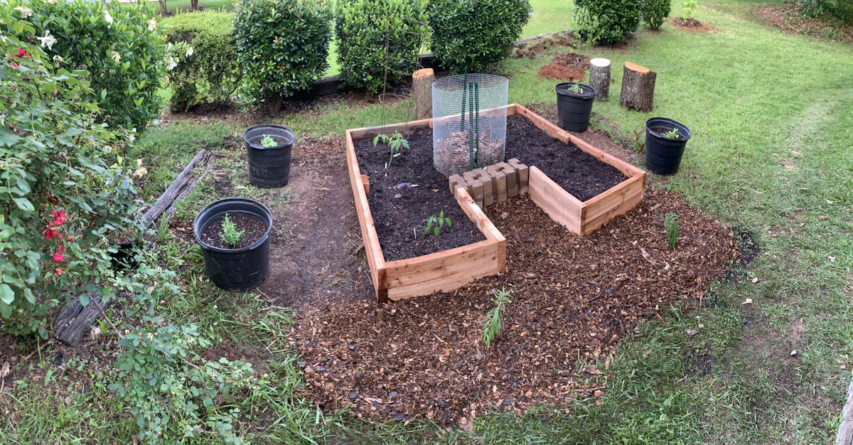 KeepCPBeautiful's tweet image. Garden Renewal   #GrowYourOwnFood  From flat bed in the ground to raise East African bed with self composting.                He who controls your food, controls you