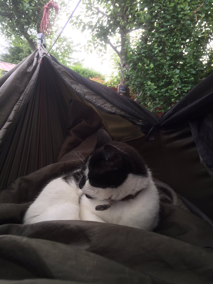 SimonMoorh0use's tweet photo. I spent the night “wild camping” in the garden last night.
As summer is now with us I have ditched the down top quilt and used the @snugpakuk #jungleblanket which was perfect for the conditions ...even the cat agreed and spent a large part of the night snuggling 😁
#hammock #cat https://t.co/9N5YeVNVBj