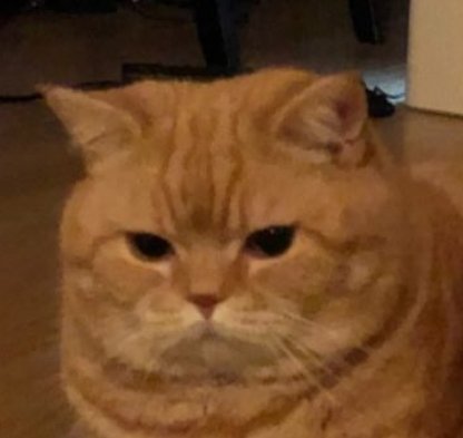 realfluffyjay's tweet image. ไงอ้วน

คัยอ้วน