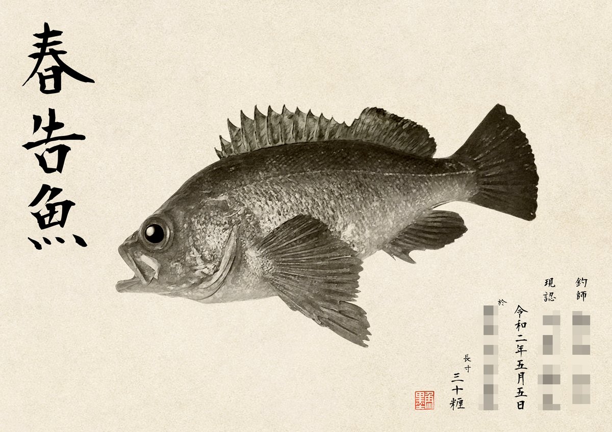 デジタル魚拓 魚墨 No Twitter 本日のデジタル魚拓のご紹介は 墨魚拓 春告魚 30 見事なデカメバルです 素晴らしい釣果です 春告魚 というのも情緒がある呼び名でいいですね しっとりと墨魚拓で完成させた魚拓に春の息吹を感じます 魚 魚拓 釣り