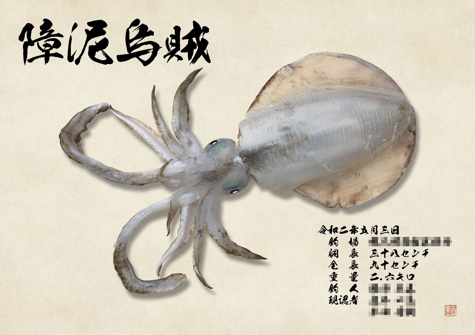 デジタル魚拓 魚墨 Sur Twitter 本日のデジタル魚拓は 涼しげなイカ拓 のご紹介です リアル魚拓へと加工させていただきましたが 透明感が半端ない これぞ 釣りたてのイカですね エンペラが透けていますし 内臓も透けて見えそうです きっと口にしたら