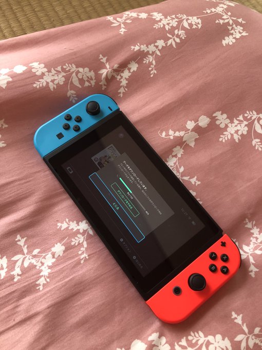 ビックカメラの抽選にあたった♡  念願Switch  うれすぃいいいいいー！！！ https://t.co/iyd1kf6yHF