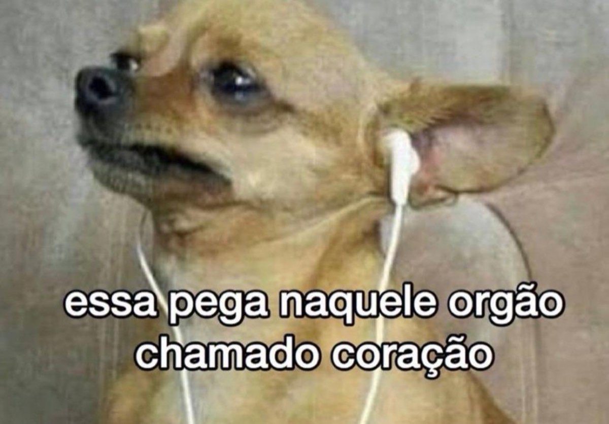 de quem é a culpa: 

#PATROAS