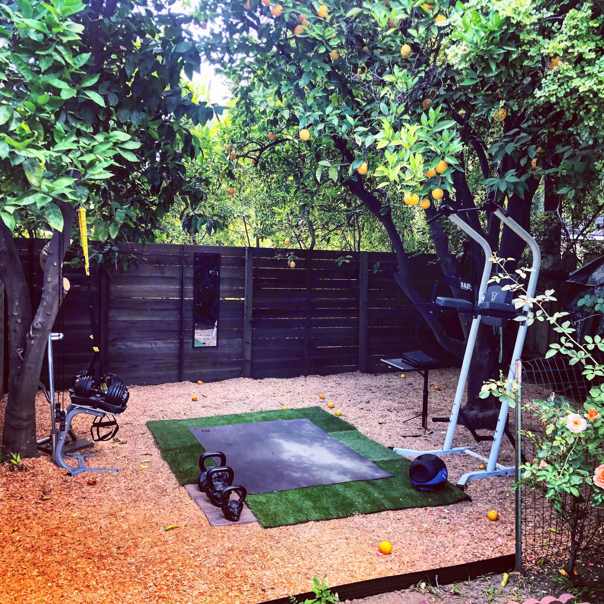 Robbie Daymond On Twitter A Haiku For My New Backyard Gym Lie Smote Before Me My Enemy Breathes His Last The Scent Of Oranges