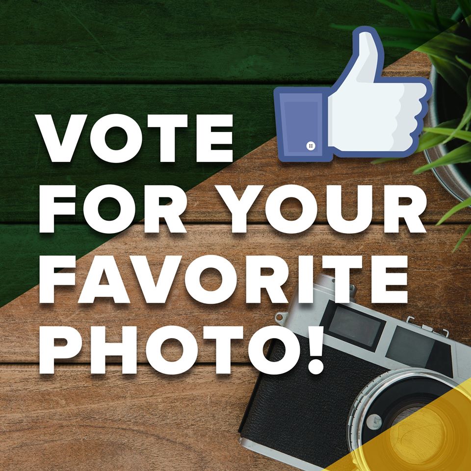 derbyks's tweet image. There's still time to vote for your favorite photo in the Derby Proud Photo Contest. Hop on over to our Facebook page to see the photo albums, Facebook.com/DerbyKS. #DerbyKS #DerbyProud