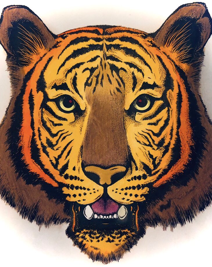 Rawr🐯 #art #creativity