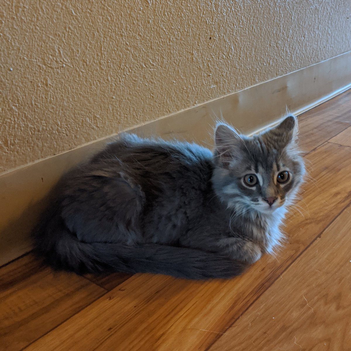 yäll minde if im Lōāf