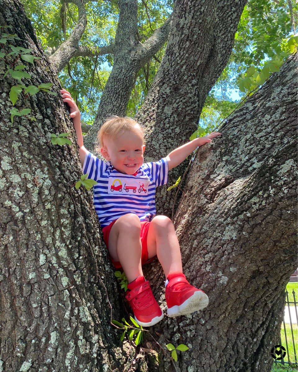 Don’t mind us ... We just love climbing trees! Download the LIKEtoKNOW.it shopping app to shop this pic via screenshot liketk.it/2QwLD #liketkit #LTKbaby #LTKkids #LTKshoecrush