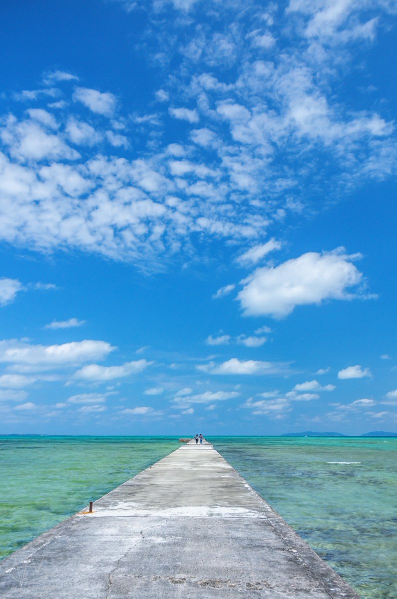 日本風景5 日本風景5 Japan Natural Landscapes 84y of Comp. Set, 2021.1