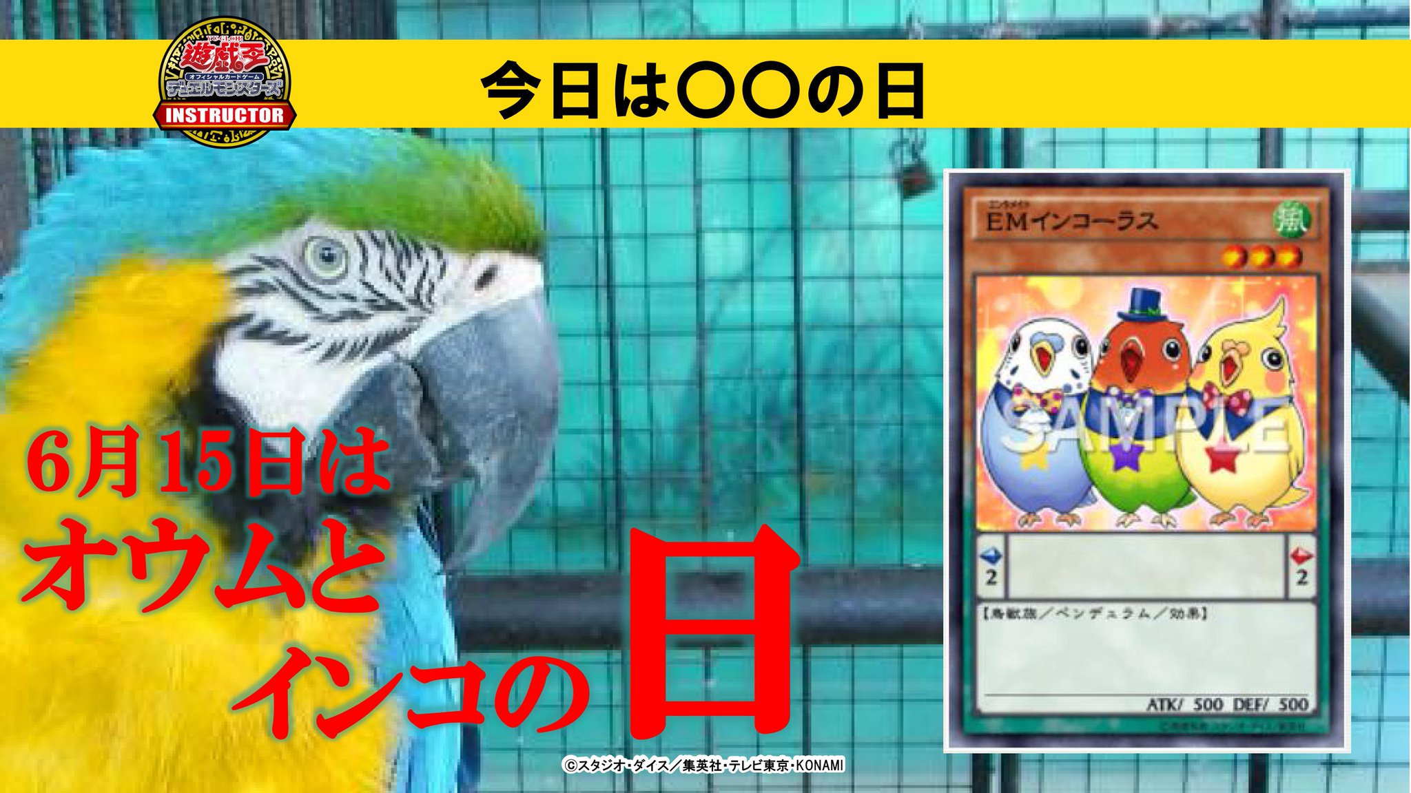 公式 遊戯王カードゲームインストラクター V Twitter インストラクターデッキ 紹介 今日6月15日は オウムとインコの日 それにちなんだ遊戯王ocgデッキをこれから順番にご紹介 皆さんが オウム や インコ で思いつくモンスターやデッキは何ですか 公式 遊戯王カードゲームインストラクター V Twitter インストラクターデッキ 紹介 今日6月15日は オウムとインコの日 それにちなんだ遊戯王ocgデッキをこれから順番にご紹介 皆さんが オウム や インコ で思いつくモンスターやデッキは何ですか