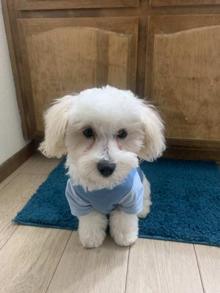 __stteph's tweet image. 💙