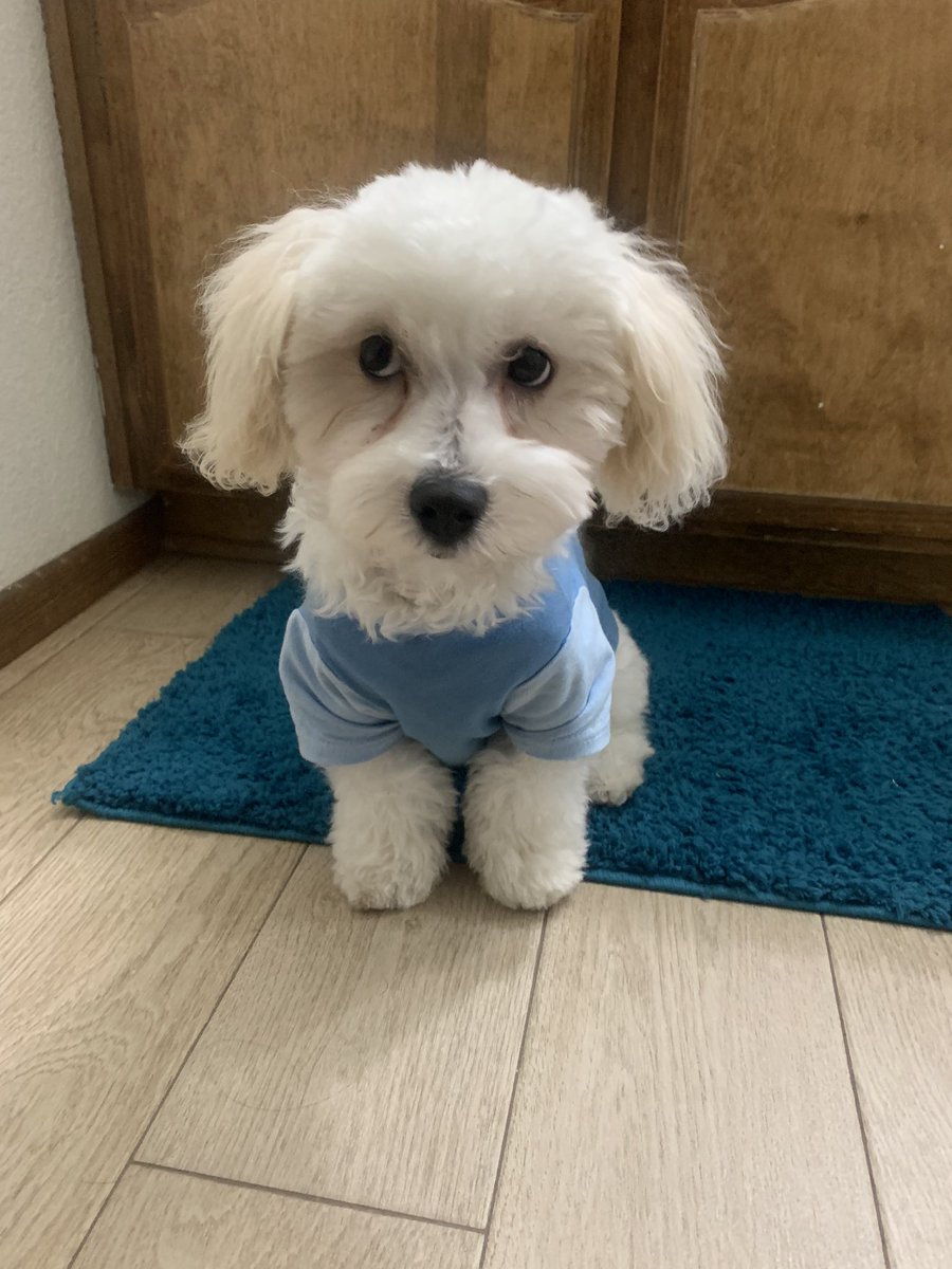 __stteph's tweet image. 💙