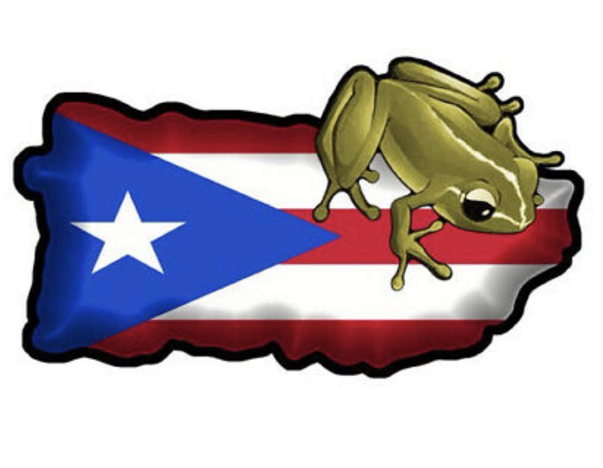 Mrs.Urbina (@ellstrendybags) on Twitter photo 