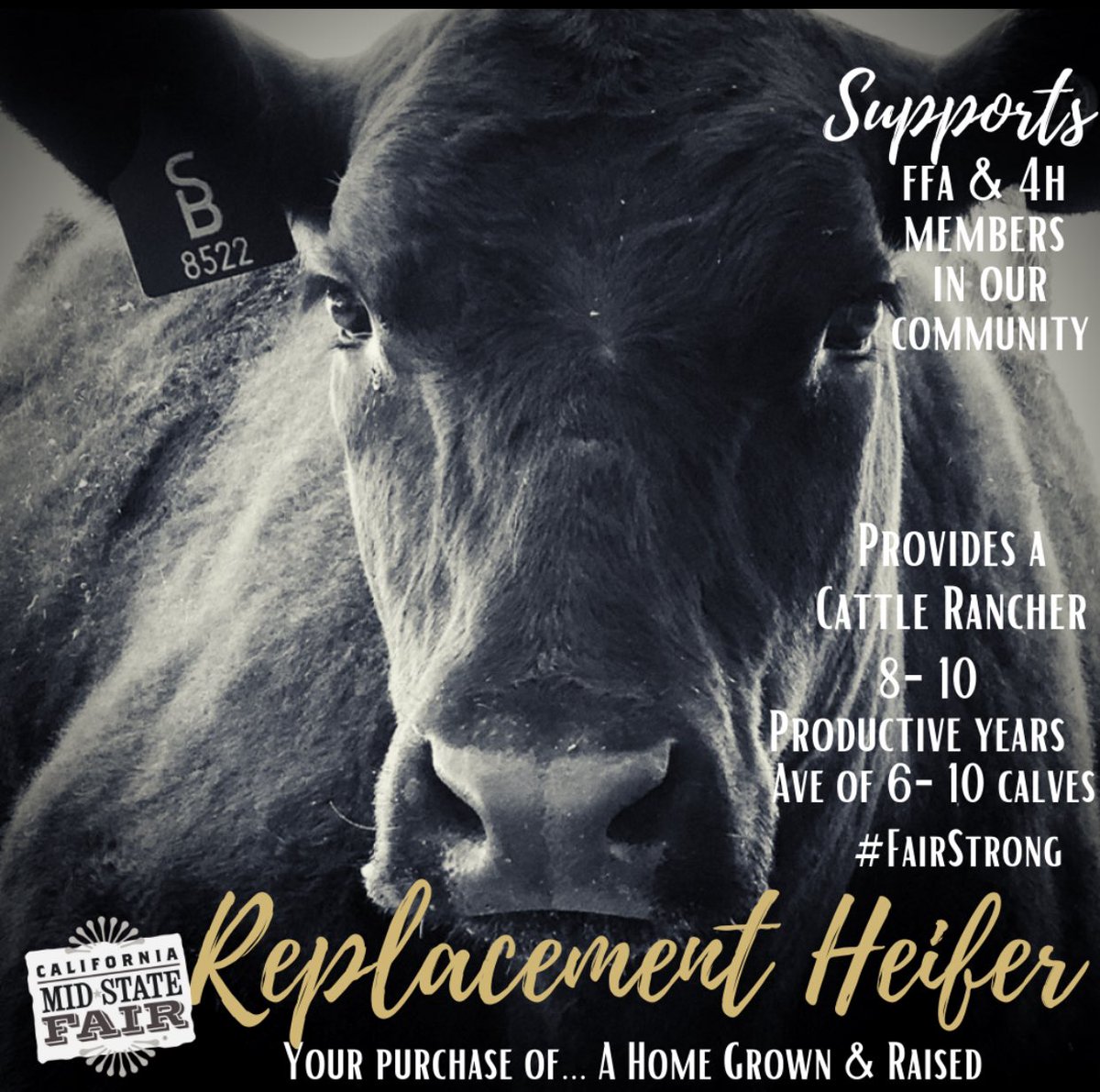 San Luis Obispo FFA tweet media