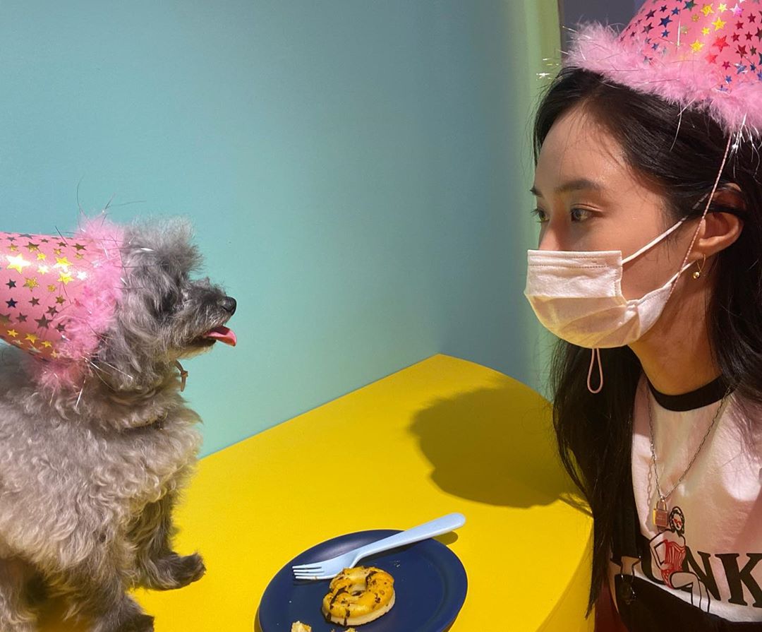 yulstagrm's tweet image. [INSTAGRAM CAROUSEL] yulyulk: 우리 두이🐶  두이용 도너츠 ♥️ #Dooe  #혁뚜네강아지카페 instagram.com/p/CBcPcMYp7jR/ (8P) #yulstagram