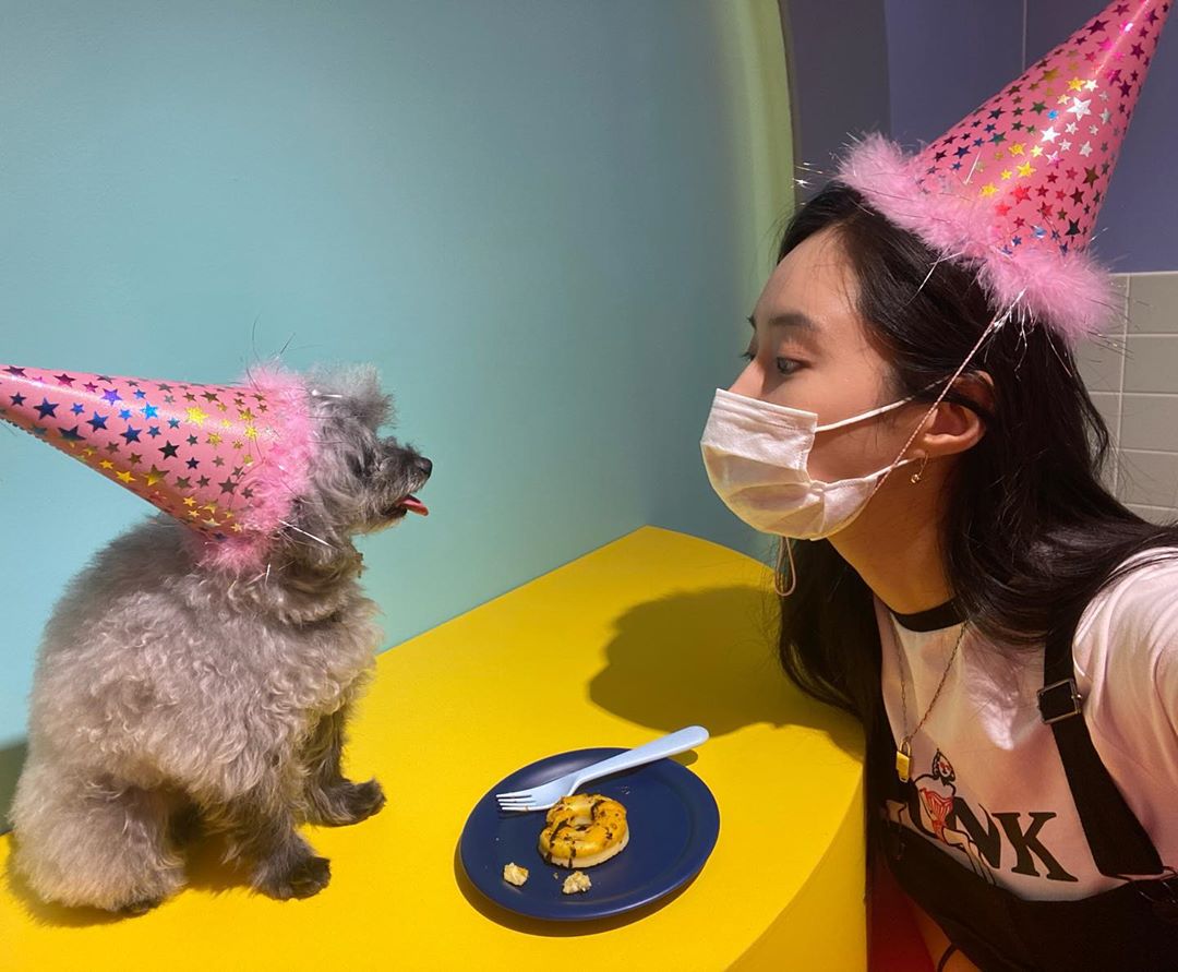 yulstagrm's tweet image. [INSTAGRAM CAROUSEL] yulyulk: 우리 두이🐶  두이용 도너츠 ♥️ #Dooe  #혁뚜네강아지카페 instagram.com/p/CBcPcMYp7jR/ (8P) #yulstagram