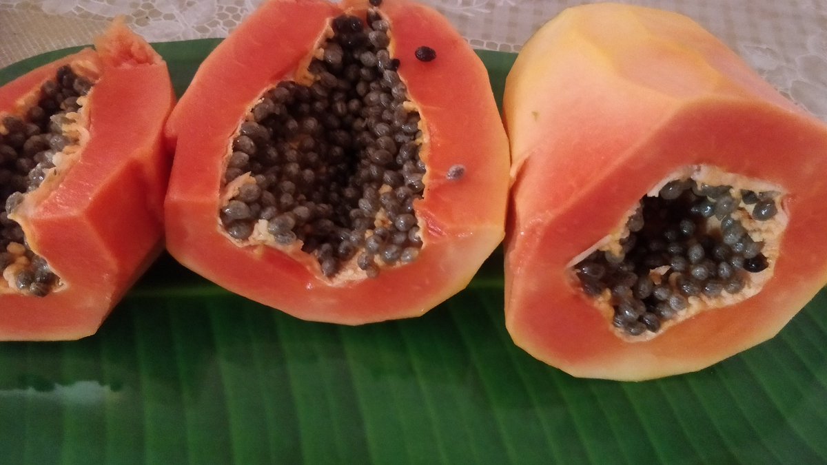 PartnersFarming's tweet photo. Papaya . https://t.co/xKEPl0nM23