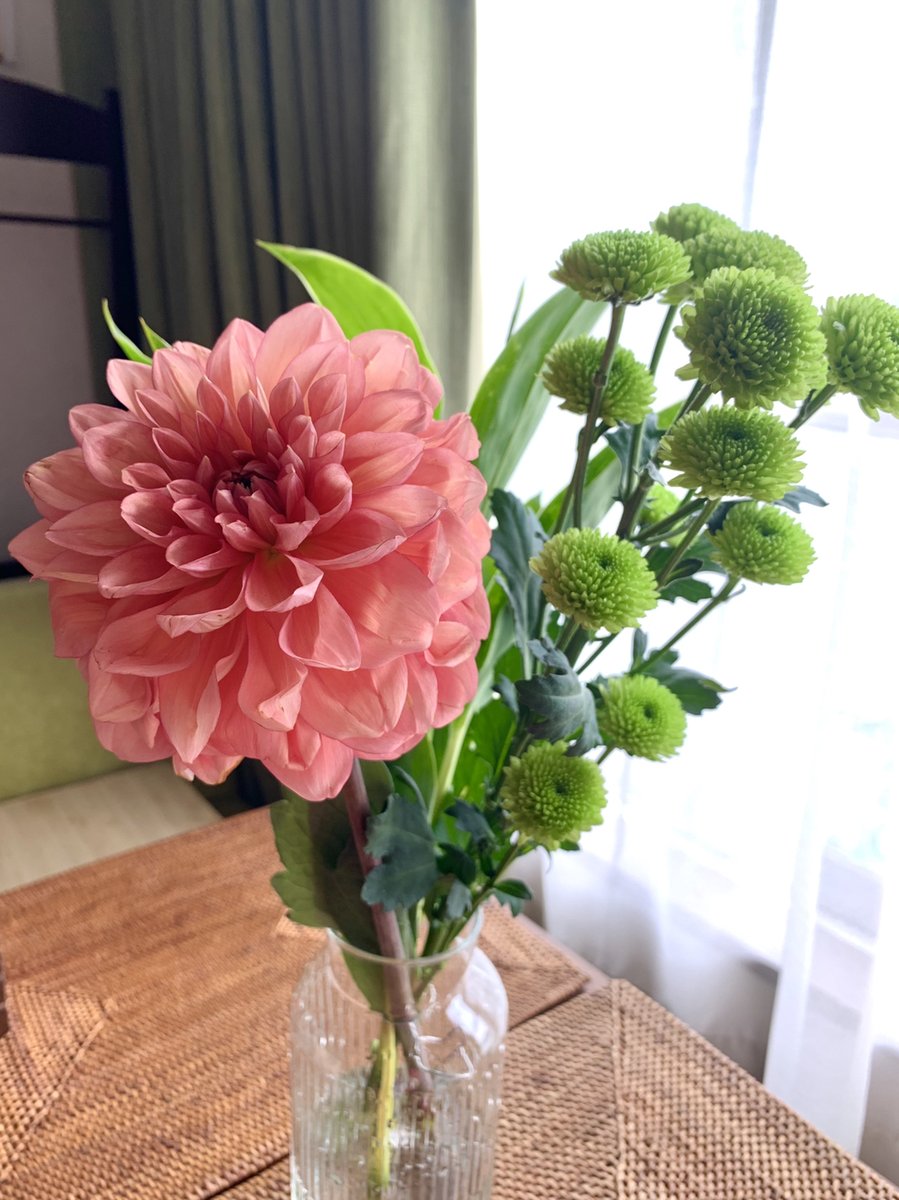 しらたま 今週はダリアと緑色のスプレー菊 元気になるカラー ハナノヒ ハナノヒ1周年 Tlを花でいっぱいにしよう