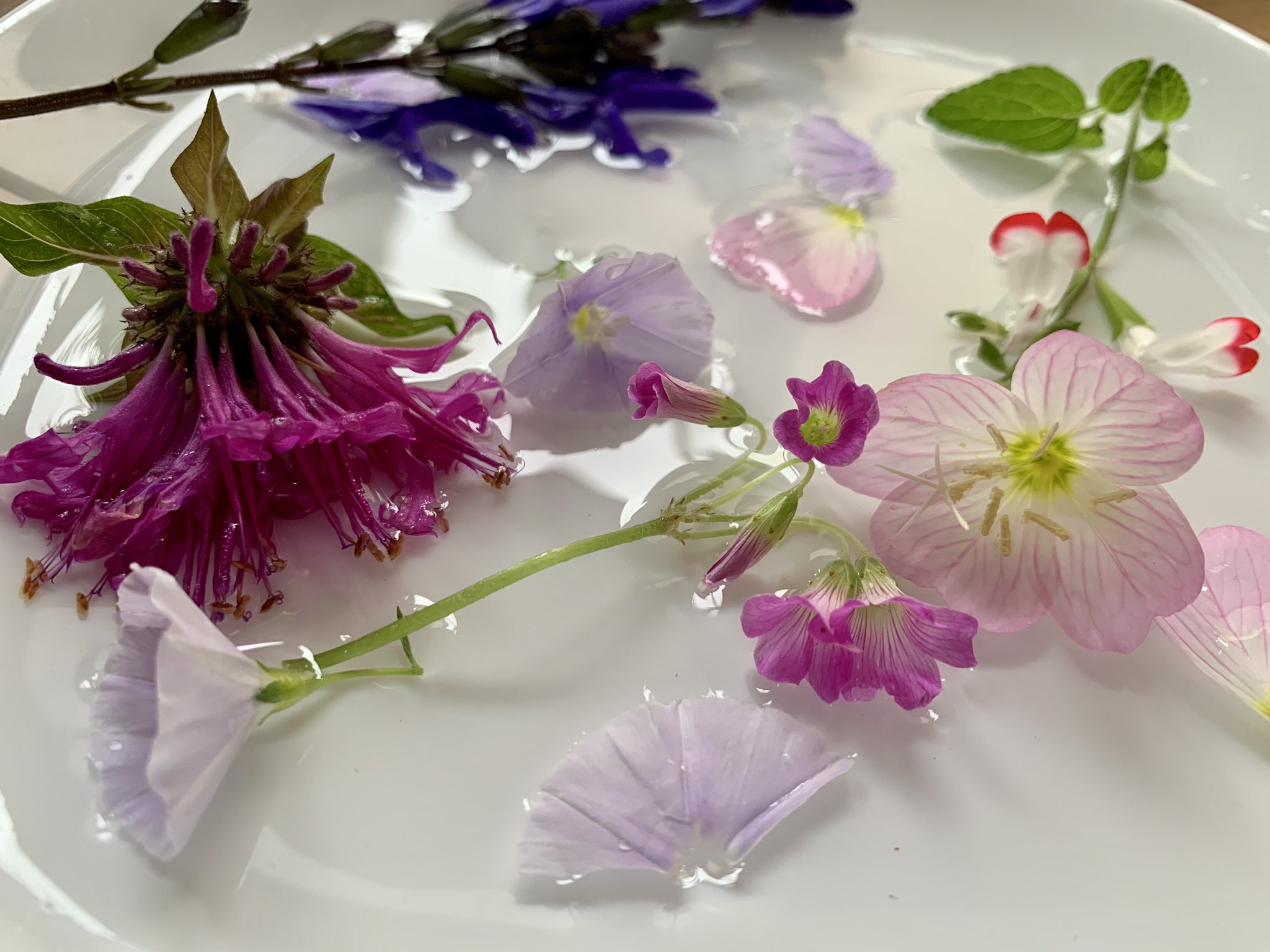 Inori 庭の花で水シール遊びをしました ガラス瓶に水 をつけ花びらを貼り付けます 空気を抜くようにピタッと押しつけます この写真の花びらは１日経って少し色 が薄くなりましたが そのまま付いています 花びらの薄い花を選びました バラやビオラ あと