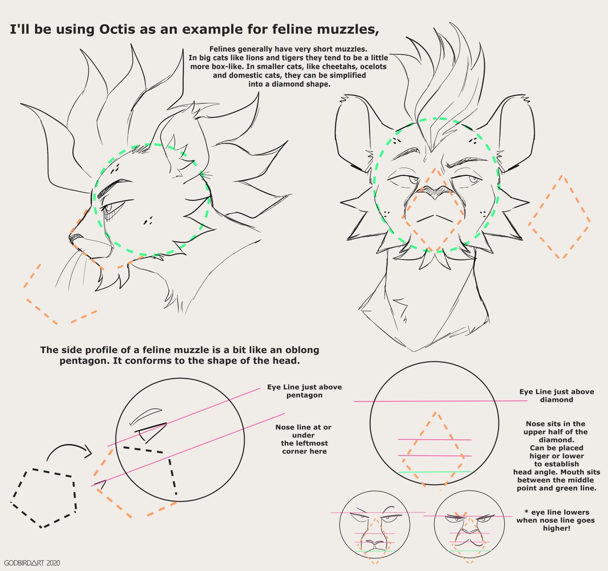 Tobias🌿 On Twitter: "A Couple People Have Asked About Muzzles And How I  Draw Them, So I Whipped Up This Super Quick Little Guide. These Are In My  Own Personal Art Style