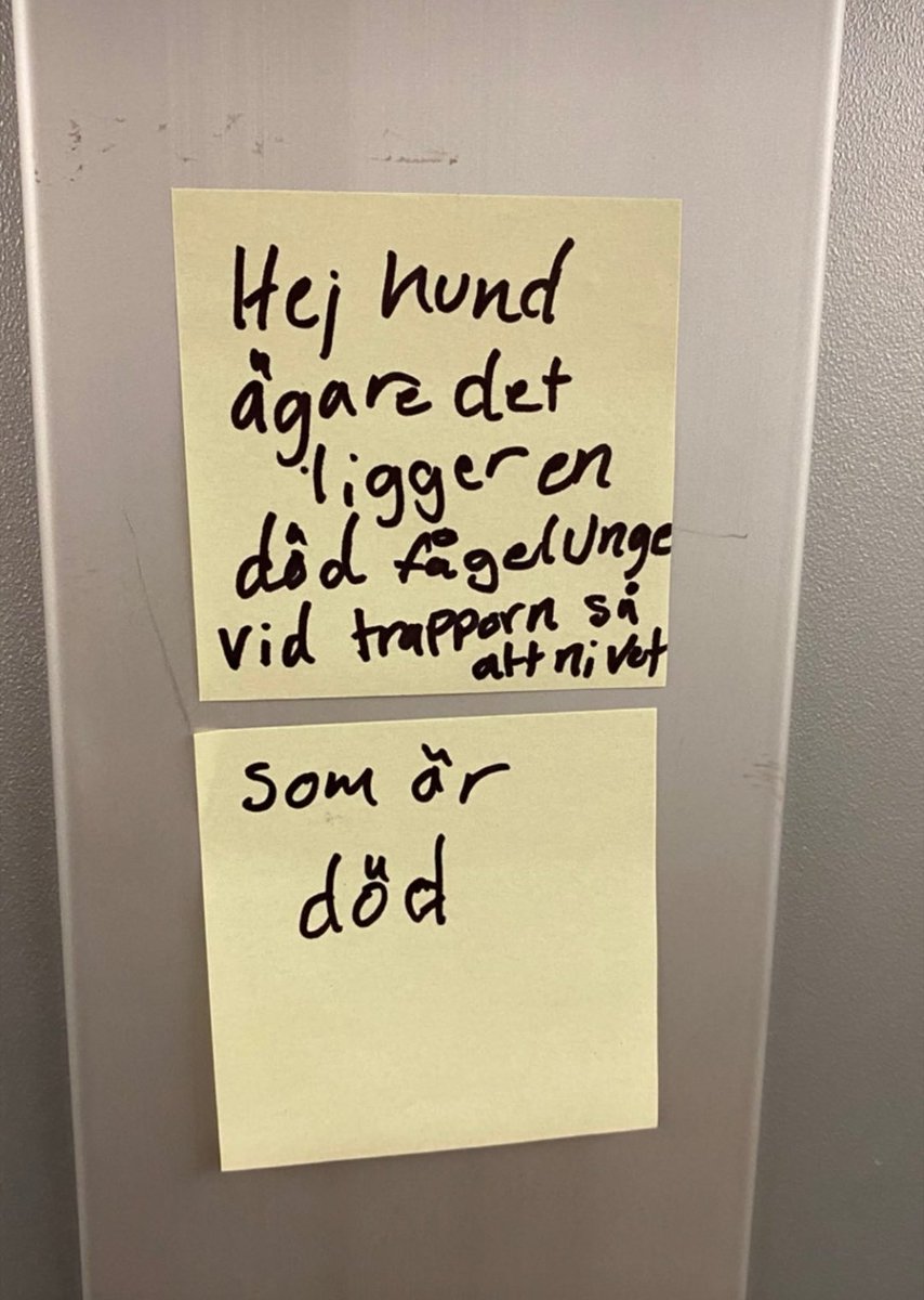 𝔈𝔫 ℜ𝔲𝔣𝔣𝔦𝔤 𝔗𝔶𝔭 (@ruffigast) on Twitter photo 