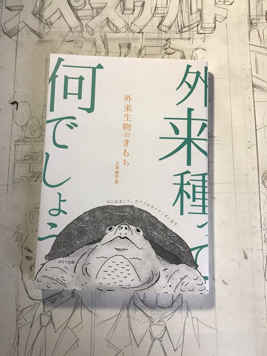 大島健夫さんの新書「外来種ってなんでしょう」読みました。
読み終わったあと近所の庭や家に入ってきた昆虫達も愛おしく思えます。
必死に生きる外来種生物の言葉がビシバシ胸に刺さって特にハクビシンさんのインタビューは一生忘れないと思う。
子供ができたら読ませてあげたい一冊。 