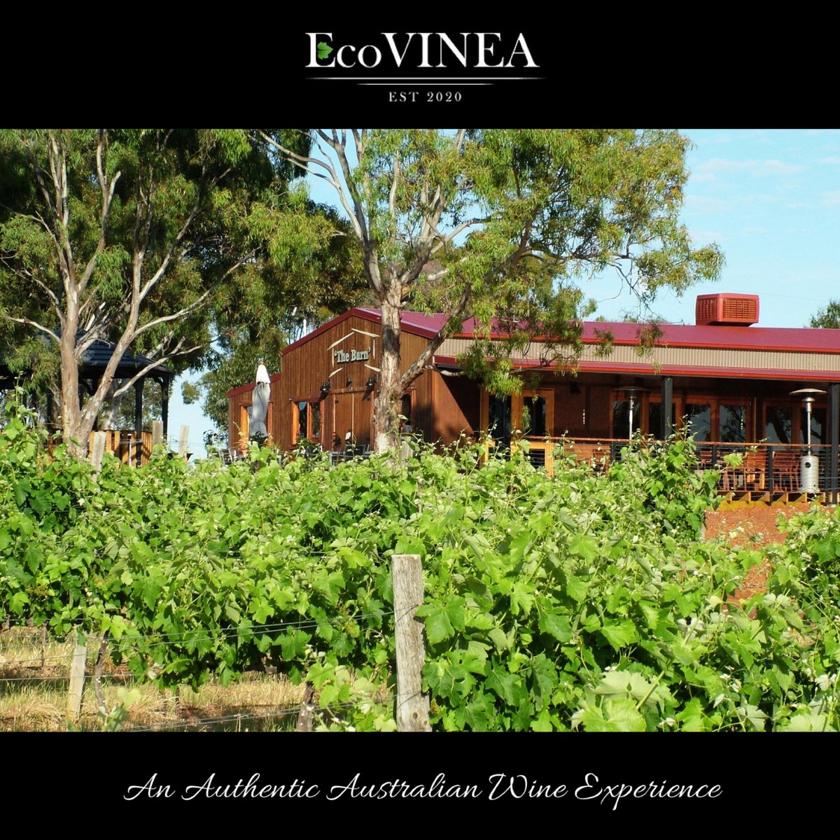 “Victoria's Grampians wine region - home to some of the world's oldest vines and where distinguished wine production stretches back to the 1860s.”

ecovinea.com

#wineaustralia #australiawine #ecovinea #winevictoria #grampians
